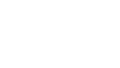 Naviforce Logo